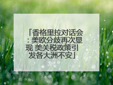 香格里拉对话会：美欧分歧再次显现 美关税政策引发各大洲不安