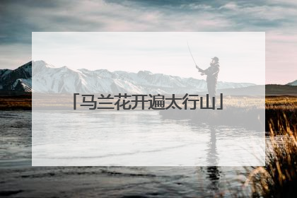 马兰花开遍太行山