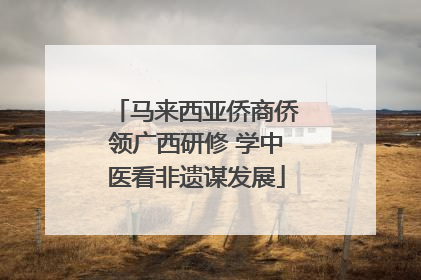 马来西亚侨商侨领广西研修 学中医看非遗谋发展