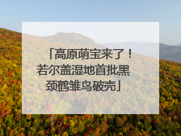 高原萌宝来了！若尔盖湿地首批黑颈鹤雏鸟破壳
