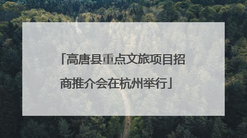 高唐县重点文旅项目招商推介会在杭州举行