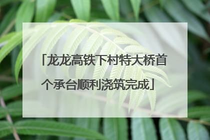 龙龙高铁下村特大桥首个承台顺利浇筑完成