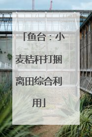 鱼台：小麦秸秆打捆离田综合利用