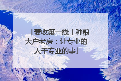 麦收第一线丨种粮大户老房：让专业的人干专业的事