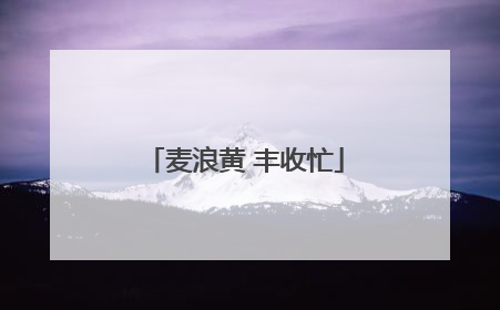 麦浪黄 丰收忙