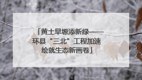 黄土旱塬添新绿——环县“三北”工程加速绘就生态新画卷