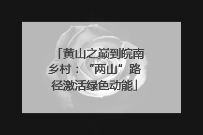 黄山之巅到皖南乡村：“两山”路径激活绿色动能