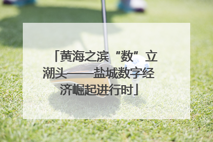 黄海之滨“数”立潮头——盐城数字经济崛起进行时