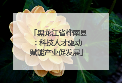 黑龙江省桦南县：科技人才驱动 赋能产业促发展