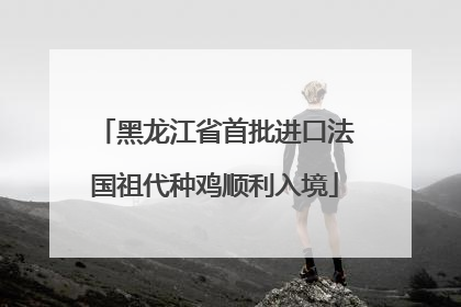 黑龙江省首批进口法国祖代种鸡顺利入境