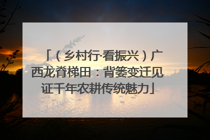 （乡村行·看振兴）广西龙脊梯田：背篓变迁见证千年农耕传统魅力
