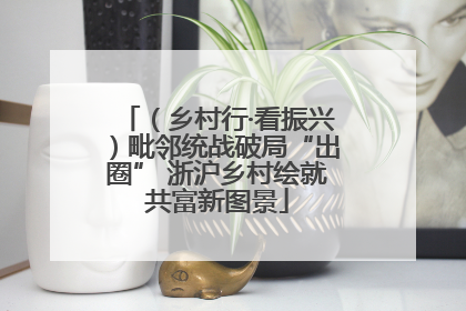 （乡村行·看振兴）毗邻统战破局“出圈” 浙沪乡村绘就共富新图景