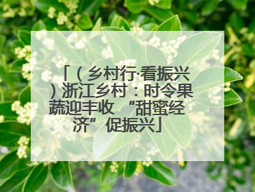 （乡村行·看振兴）浙江乡村：时令果蔬迎丰收 “甜蜜经济”促振兴