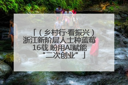 （乡村行·看振兴）浙江新阶层人士种蓝莓16载 盼用AI赋能“二次创业”