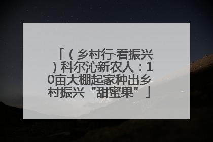 （乡村行·看振兴）科尔沁新农人：10亩大棚起家种出乡村振兴“甜蜜果”