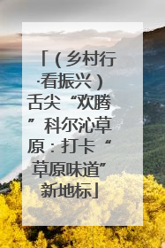 （乡村行·看振兴）舌尖“欢腾”科尔沁草原：打卡“草原味道”新地标