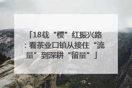 18载“樱”红振兴路：看茶业口镇从接住“流量”到深耕“留量”
