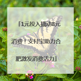 1元投入撬动8元消费！支付宝助力合肥激发消费活力