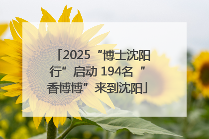 2025“博士沈阳行”启动 194名“香博博”来到沈阳