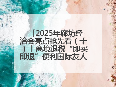 2025年廊坊经洽会亮点抢先看（十）丨离境退税“即买即退”便利国际友人“买买买”