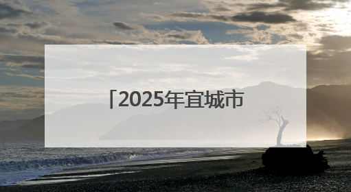 2025年宜城市第二届职工运动会篮球赛圆满落幕