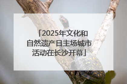 2025年文化和自然遗产日主场城市活动在长沙开幕