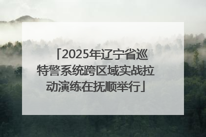 2025年辽宁省巡特警系统跨区域实战拉动演练在抚顺举行