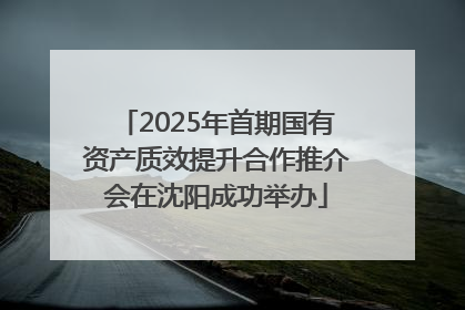 2025年首期国有资产质效提升合作推介会在沈阳成功举办