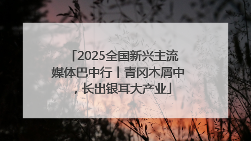 2025全国新兴主流媒体巴中行丨青冈木屑中，长出银耳大产业