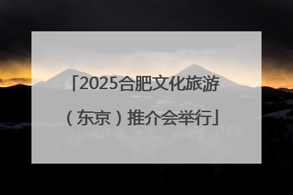 2025合肥文化旅游（东京）推介会举行