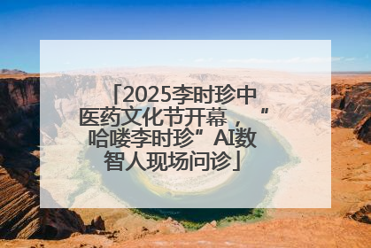 2025李时珍中医药文化节开幕，“哈喽李时珍”AI数智人现场问诊