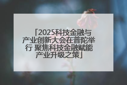 2025科技金融与产业创新大会在普陀举行 聚焦科技金融赋能产业升级之策