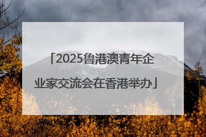 2025鲁港澳青年企业家交流会在香港举办
