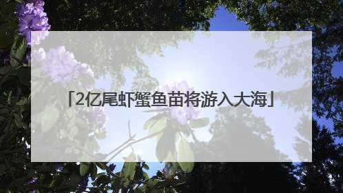 2亿尾虾蟹鱼苗将游入大海