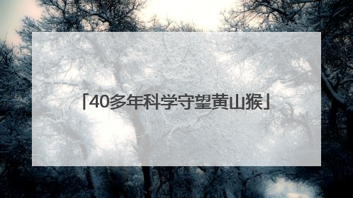 40多年科学守望黄山猴