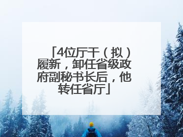 4位厅干（拟）履新，卸任省级政府副秘书长后，他转任省厅