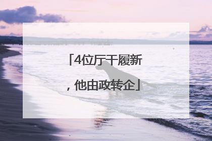 4位厅干履新，他由政转企