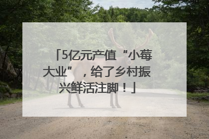 5亿元产值“小莓大业”，给了乡村振兴鲜活注脚！