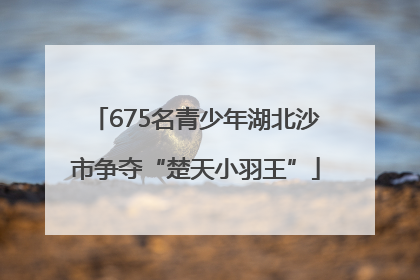 675名青少年湖北沙市争夺“楚天小羽王”