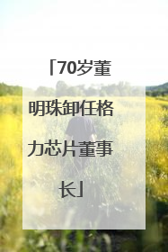 70岁董明珠卸任格力芯片董事长