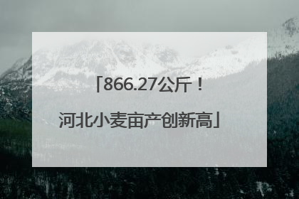 866.27公斤！河北小麦亩产创新高