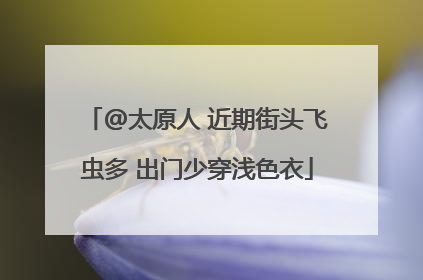 @太原人 近期街头飞虫多 出门少穿浅色衣