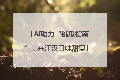 AI助力“挑瓜指南”，来江汉寻味甜夏