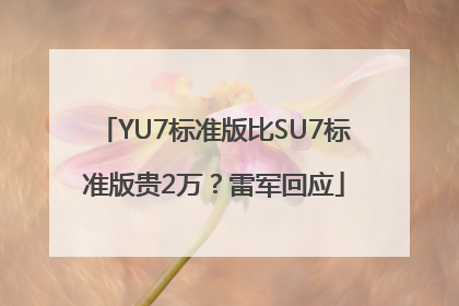 YU7标准版比SU7标准版贵2万？雷军回应